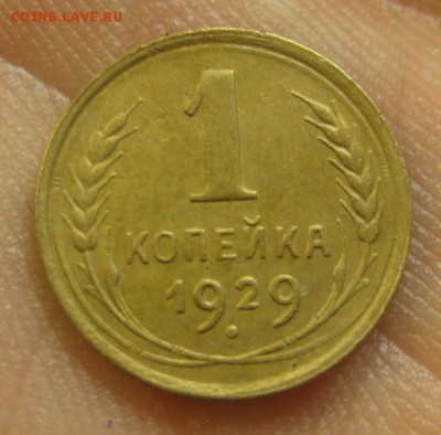 1 копейка 1929 г. (AZ-1147)-----------20.02.16, в 22.10 - IMG_4062.JPG