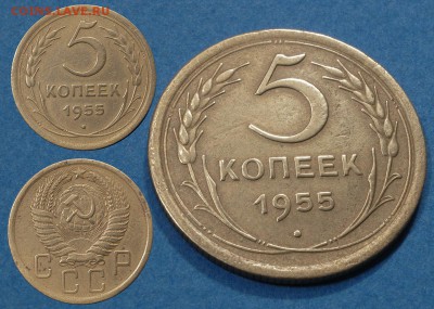 2 и 5 копеек 1955, 5 копеек 1943 и 3 копейки 1950 до 21.02 - 5-55