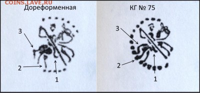 Чешуя от Дед42 (пополняемая тема) - IMG_0907.JPG