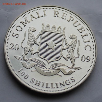 100 шиллингов.Сомали 2009 г. - IMG_5904.JPG