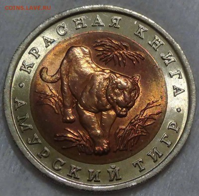 10 руб. 1992 КК Амурский тигр UNC Красивая 19.02.16 (22-30) - DSC02615.JPG