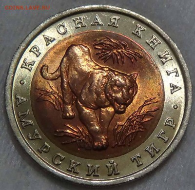 10 руб. 1992 КК Амурский тигр UNC Красивая 19.02.16 (22-30) - DSC02617.JPG