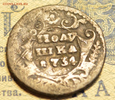 Полушка 1734 гурт шнур - DSC_4587.JPG