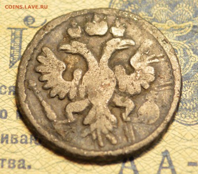 Полушка 1734 гурт шнур - DSC_4586.JPG