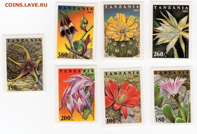 Флора Танзания цветы кактуса серия 7м MNH нечастая - Танзания 1995  цветы кактуса 140