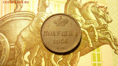 полушка 1856г. ем - image-92