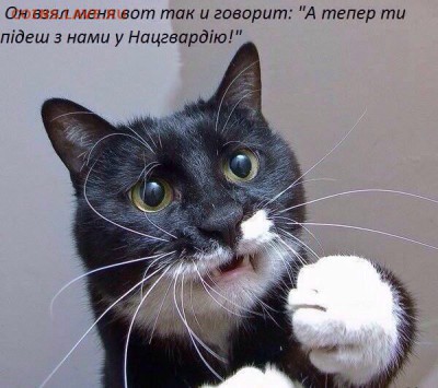 События на Украине. - котя