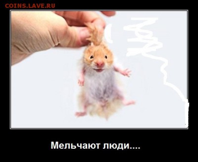 СерыйВолк" отказывается выкупать лот! - d3d3LmNvbW9uLnJ1L2ZpbGUvNDhkNzY2ODgtMWU5ZS00ODU1LWE2N2UtZDY2Y2IzY2RmMzJkL2NvbnRlbnQxOTUucG5n