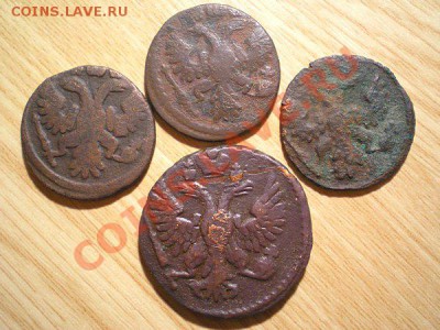полушка 3 шт., денга 13.10.10. в 22.00 мв - PA120036.1