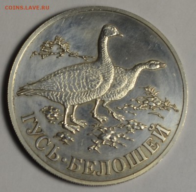 1 рубль 1998 Гусь-Белошей Серебро с 1руб до 23.02 в 22:00мск - DSC_0005.JPG