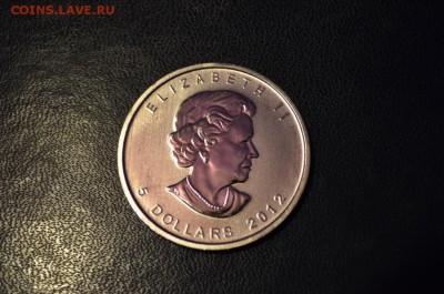 с рубля. Канада - инвестиционник "Лось" - DSC_0474.JPG
