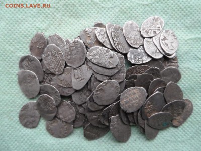 Чешуя Михаила Федоровича 100 шт до 20.02.16г в 22:00 МСК - SAM_2851.JPG