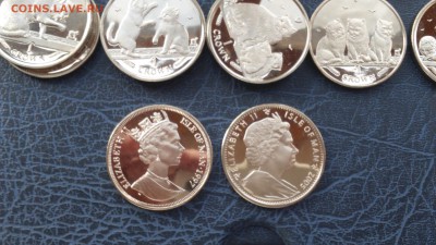 1 крона Остров Мэн Кошки просьба оценить - DSC_0030.JPG