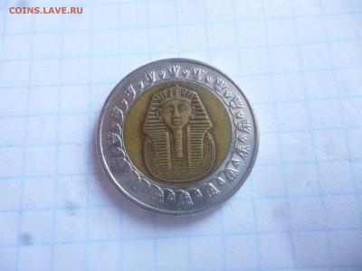 БИМ- Египет 1 фунт  до 24.02.16 22-00 мск - P1040298.JPG