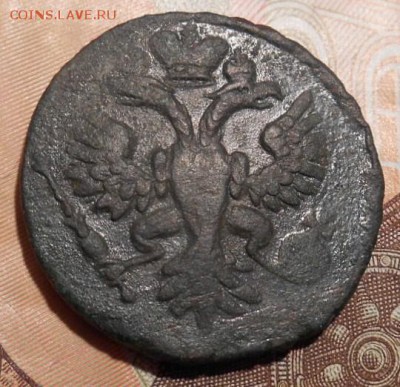 деньга 1734 г - DSCN5871.JPG