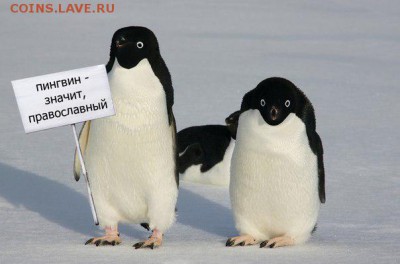 О религии.  Новости. - CKvRrRNDRiI