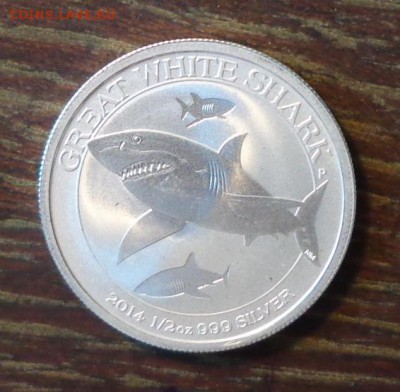 АВСТРАЛИЯ - БОЛЬШАЯ БЕЛАЯ АКУЛА до 26.02, 22.00 - австралия большая белая акула -2