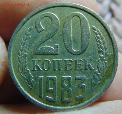 20 коп. помогите со шт. 1983,84,85г. - DSC00924.JPG