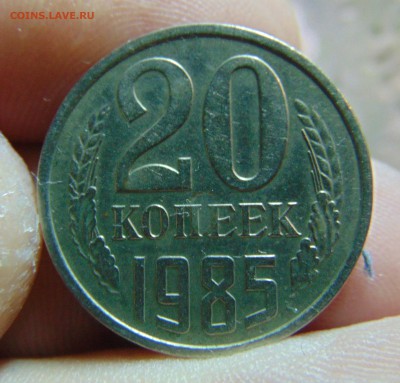 20 коп. помогите со шт. 1983,84,85г. - DSC00920.JPG
