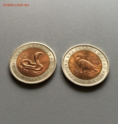 Красная книга. Кобра и Казарка 1992 год. до 25.02.3016 - IMG_3551.JPG