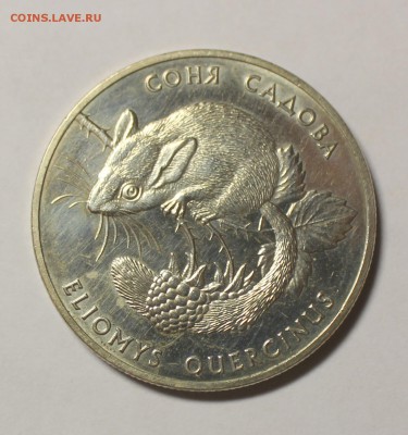 Украина 2 гривны СОНЯ САДОВА  1999 года - IMG_7934.JPG