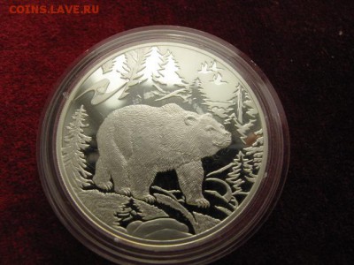 3 рубля 2009 год. ЕврАзЭС. Медведь. С рубля. До 28.02.2016. - IMG_3908.JPG