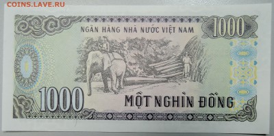 ВЬЕТНАМ - 1000 донгов 1988 г. пресс до 29.02 в 22.00 - DSCN3044.JPG