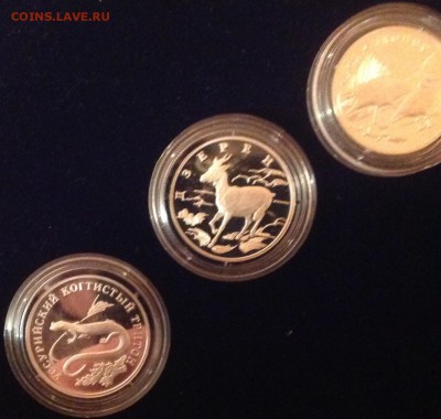 Красная книга 1 рубль 2006 г.комплект до 22.00 28.02.2016 - image