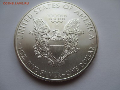 1$ США ШАГАЮЩАЯ СВОБОДА  2009  ДО 28  2 16 22 00 мск - IMG_0204.JPG