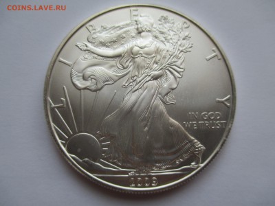 1$ США ШАГАЮЩАЯ СВОБОДА  2009  ДО 28  2 16 22 00 мск - IMG_0206.JPG
