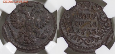 Полушка 1735 г. NGC mint error MS 61 - IMG_7292.JPG