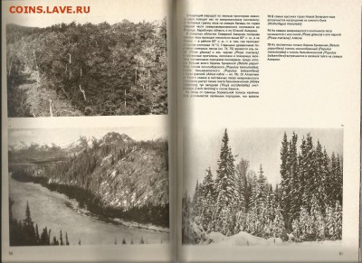 29.02 - Энциклопедия лесов 6