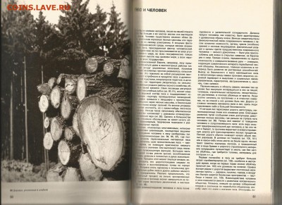 29.02 - Энциклопедия лесов 5