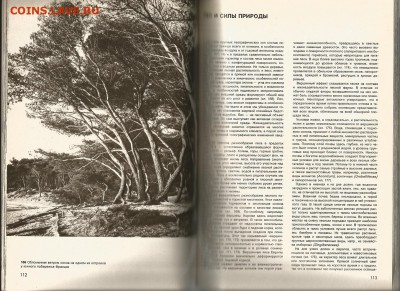 29.02 - Энциклопедия лесов 4