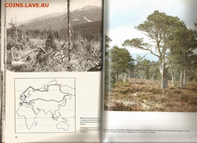 29.02 - Энциклопедия лесов 2