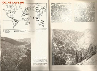 29.02 - Энциклопедия лесов 1