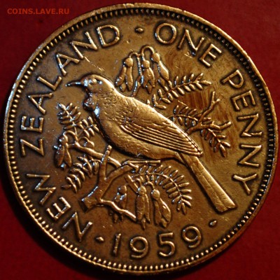 Новая Зеландия  1 пенни  1959 до 01.03.2016 - DSC_0119.JPG