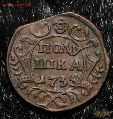 Полушка 1735 #3. Кладовая. до 29.02.2016 в 22.00 по МсК - DSC_8305