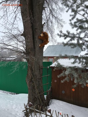 юмор - IMG-20160224-WA0002