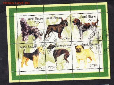 Гвинея Бисау 2001собаки (1) лист - 126