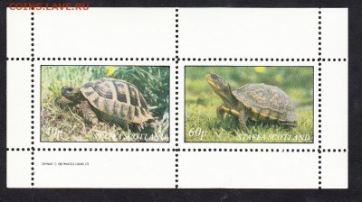 Шотландия 1982 черепахи лист - 131