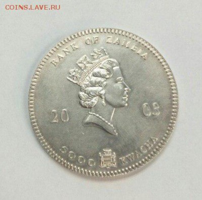 Серебро 5000 квачей Слоны до 29.02.16 с 200р - di_LHIjpjHs