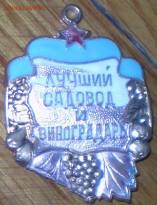 Знаки лучший Садовод и виноградарь и Лучший животновод. - P1010026.JPG