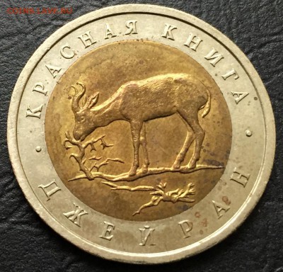 50 рублей Джейран с 200 руб! до 1.03.16 22:00 - image-25-02-16-02-10-4