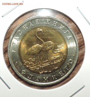 Красная книга 1994 год -- 5 монет до 29.02 в 22:05 - DSCN6941.JPG