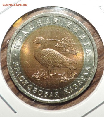 Красная книга 1993 год --- 3 монеты до 29.02 в 22:05 - DSCN6933.JPG