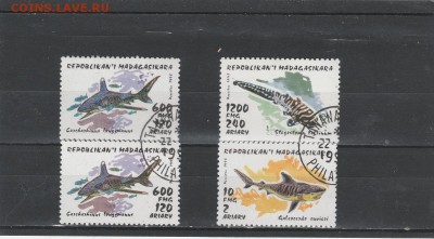 Акулы (Мадагаскар) до 27.02 в 22.00 - IMG_20160226_0010