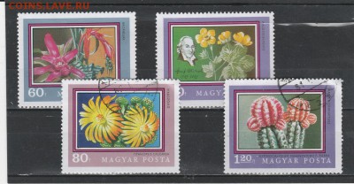 Цветы (Венгрия) до 27.02 в 22.00 - IMG_20160226_0039