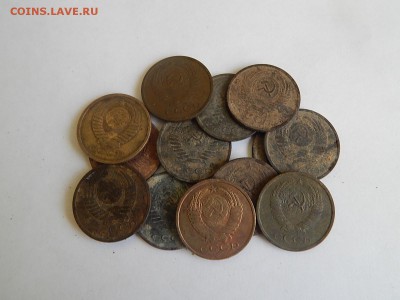 13шт.поздних пятачков.до 28.02.16г. 21.00 - DSCN2173.JPG