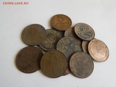 13шт.поздних пятачков.до 28.02.16г. 21.00 - DSCN2171.JPG